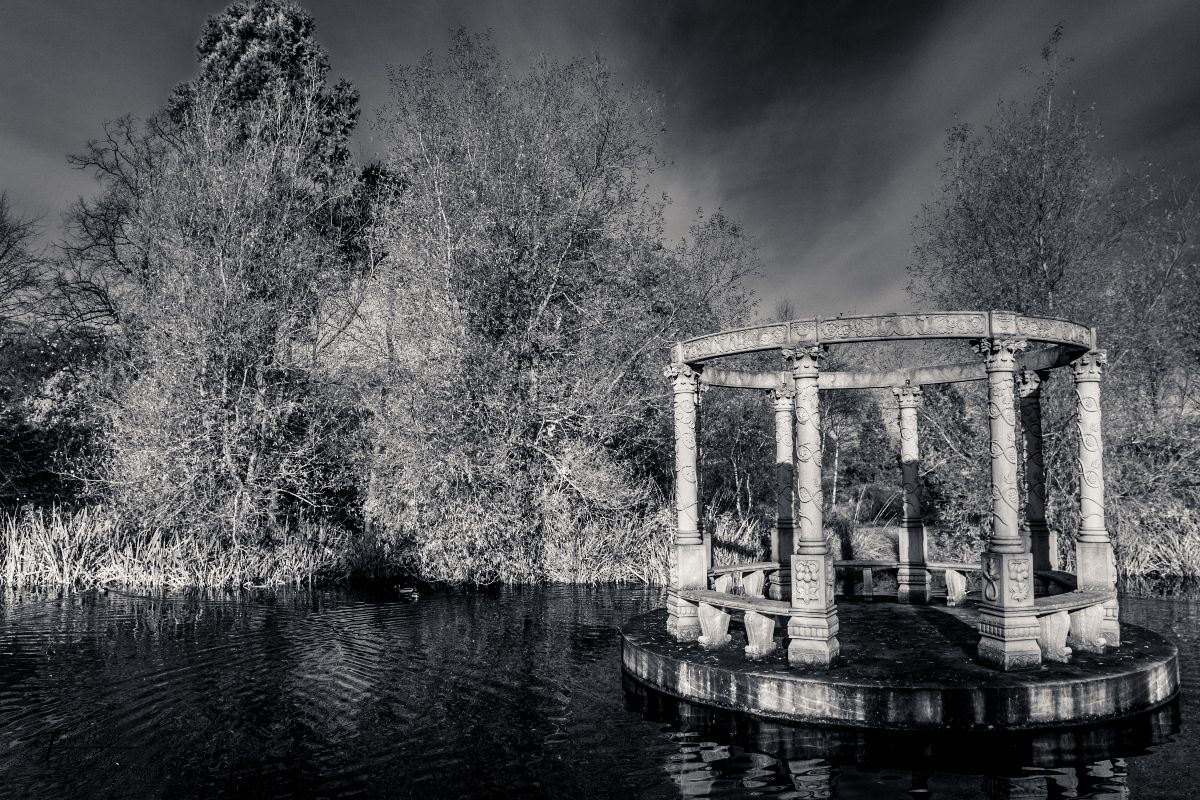 Gallery Item 30 for Rushpool Hall Hotel 