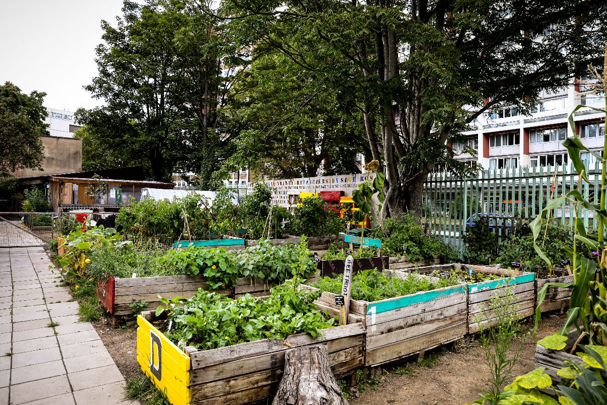 Oasis Farm Waterloo-Image-4