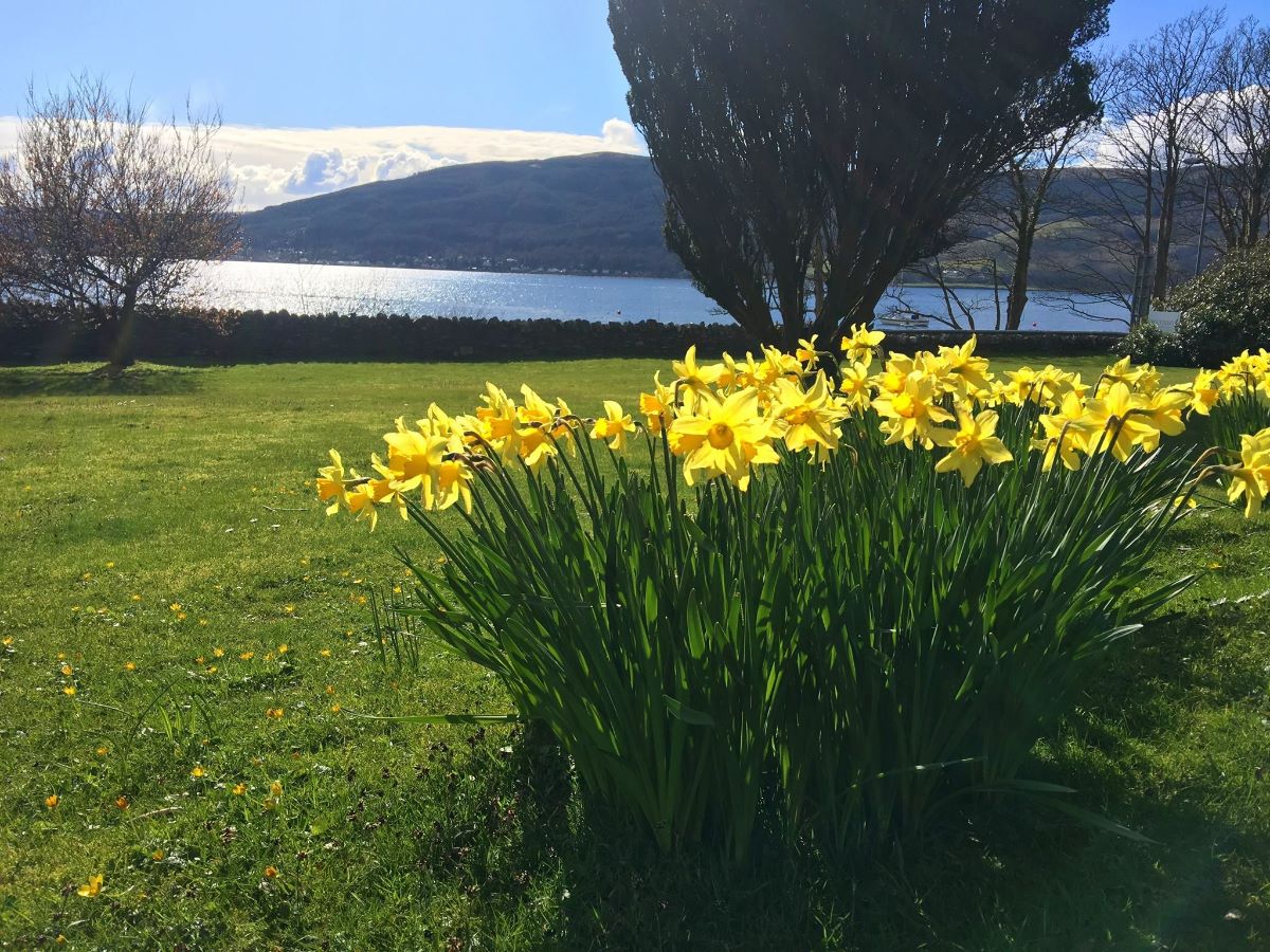 Gallery Item 10 for Knockderry House