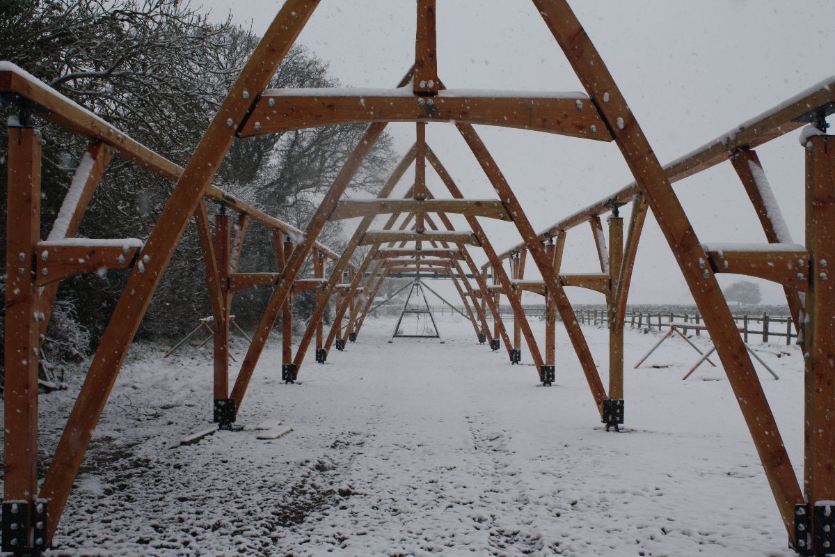 The Tree Marquee-Image-1