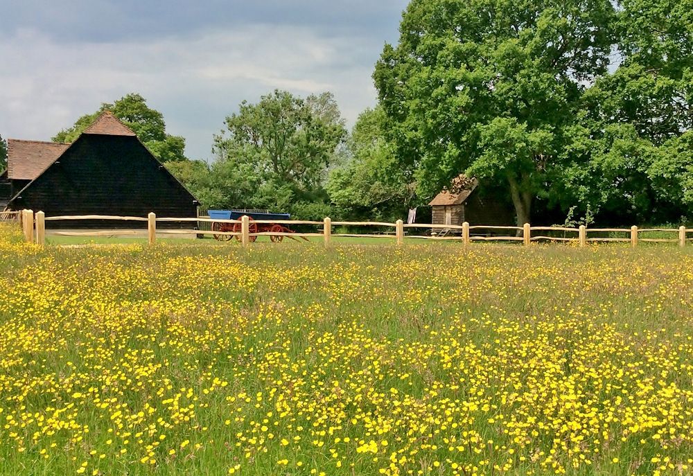 Gildings Barns-Image-24