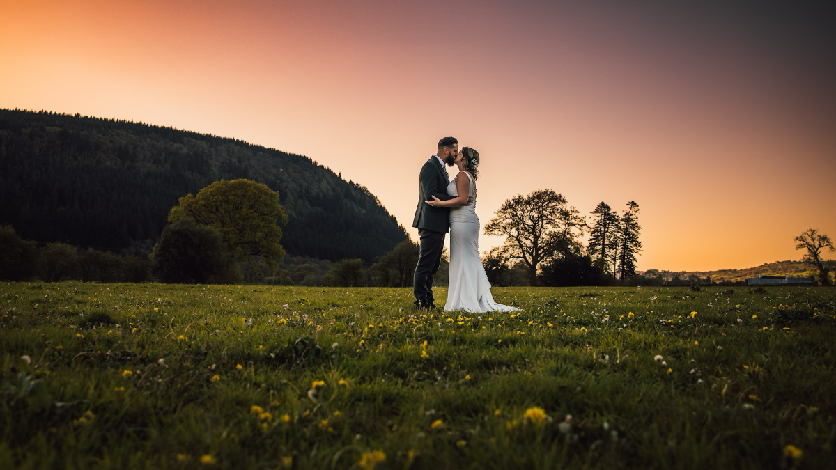 Hafod Farm-Image-15