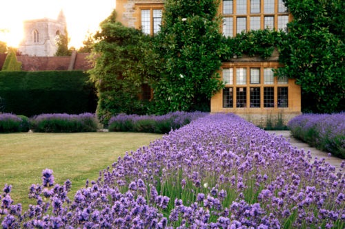 Gallery Item 12 for Belmond Le Manoir Aux Quat' Saisons