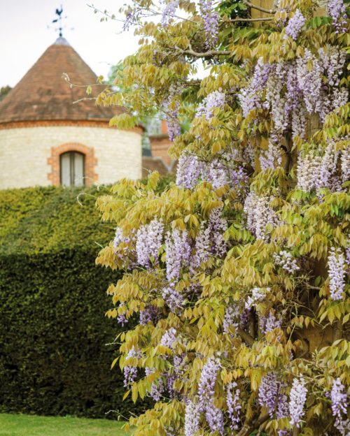 Gallery Item 15 for Belmond Le Manoir Aux Quat' Saisons