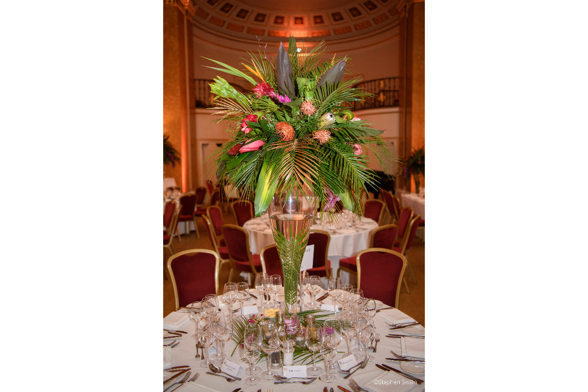 Gallery Item 14 for The Lansdowne Club