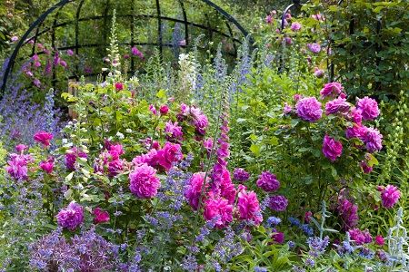 The Dorothy Clive Garden-Image-1