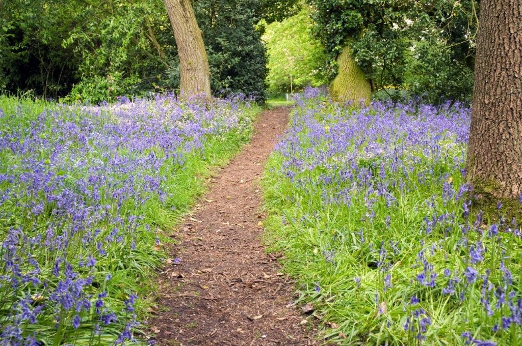 The Dorothy Clive Garden-Image-3
