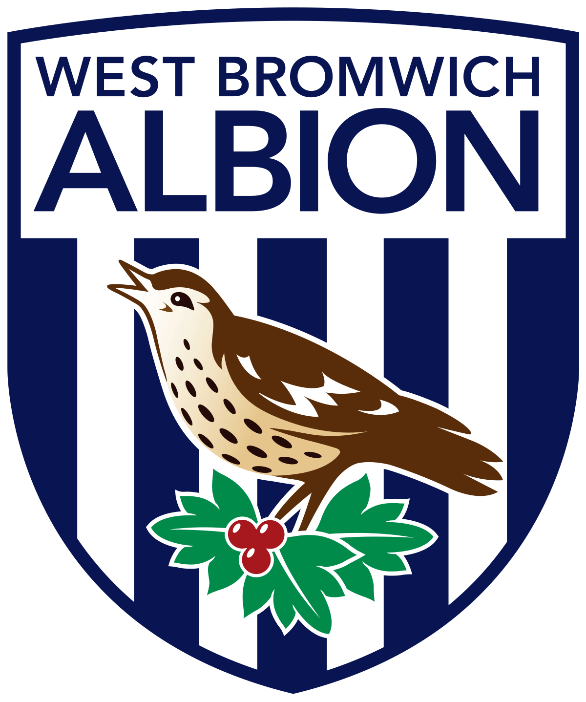 West Bromwich Football Club-Image-1