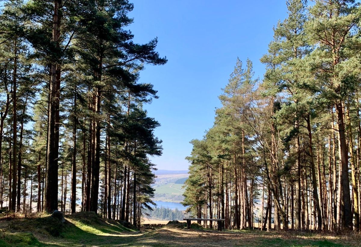 Swinton Estate-Image-11