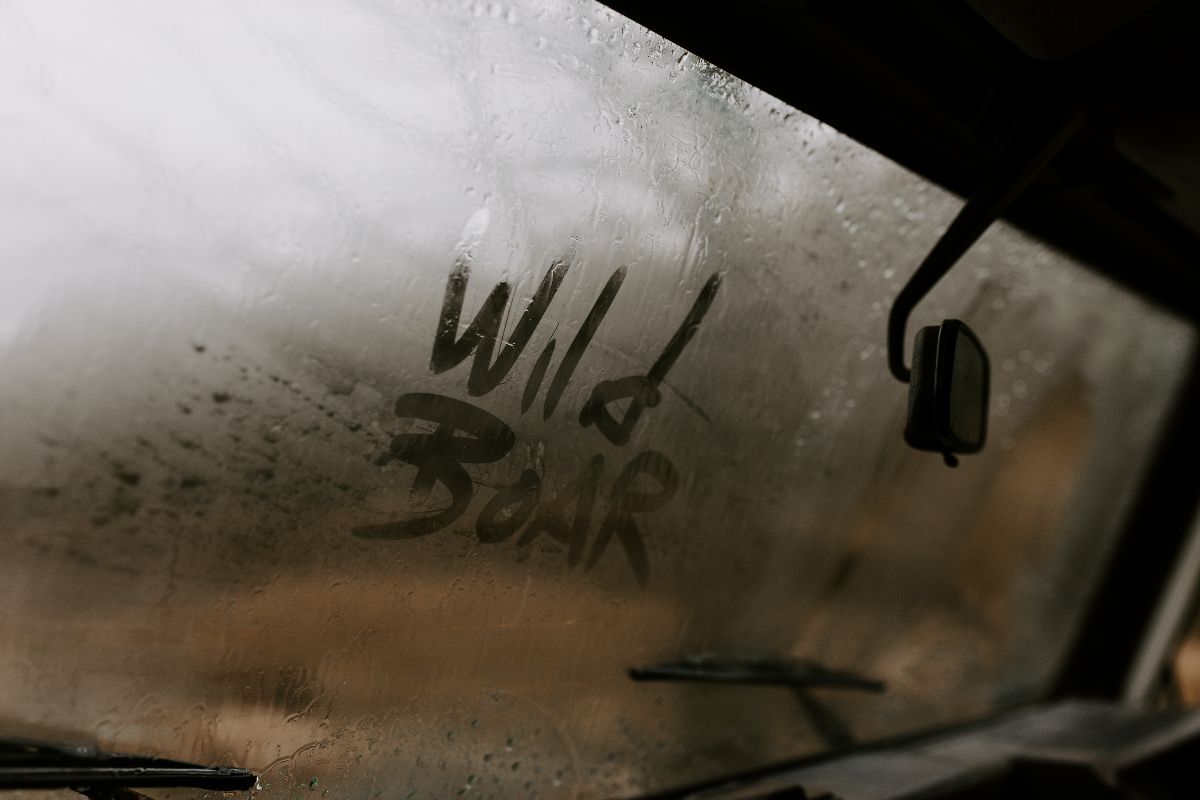 The Wild Boar-Image-4