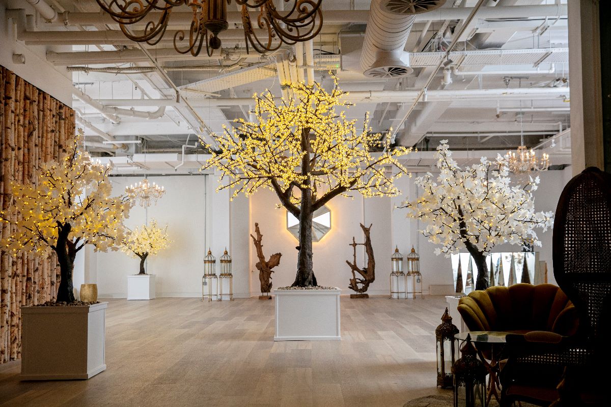 Bluebird Chelsea-Image-1