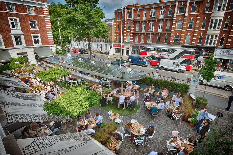 Bluebird Chelsea-Image-2