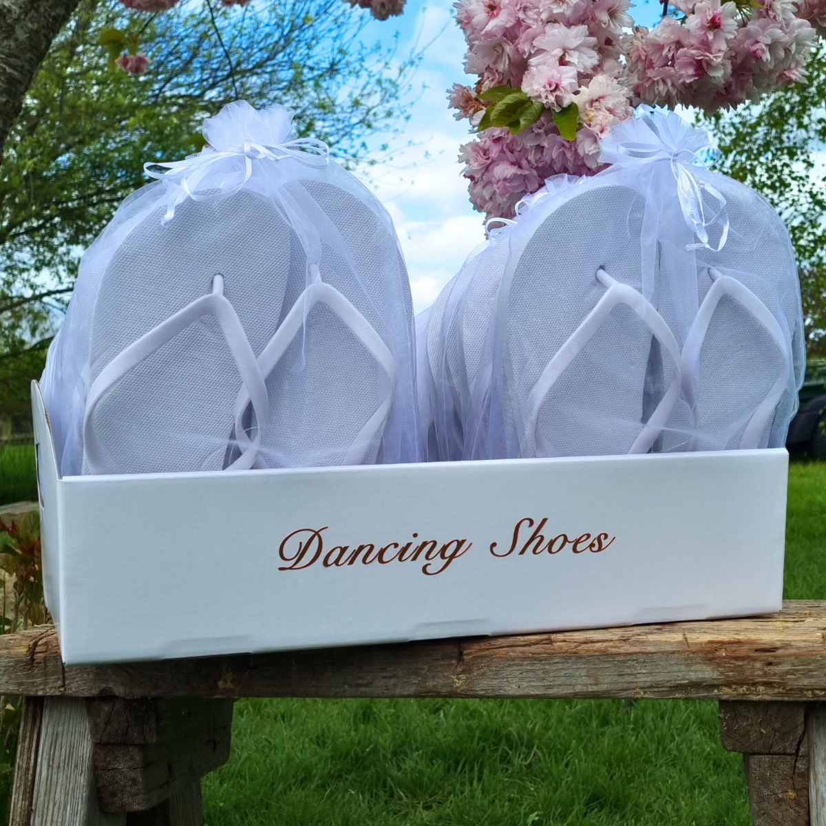 The Pink Cow Gifts-Image-13