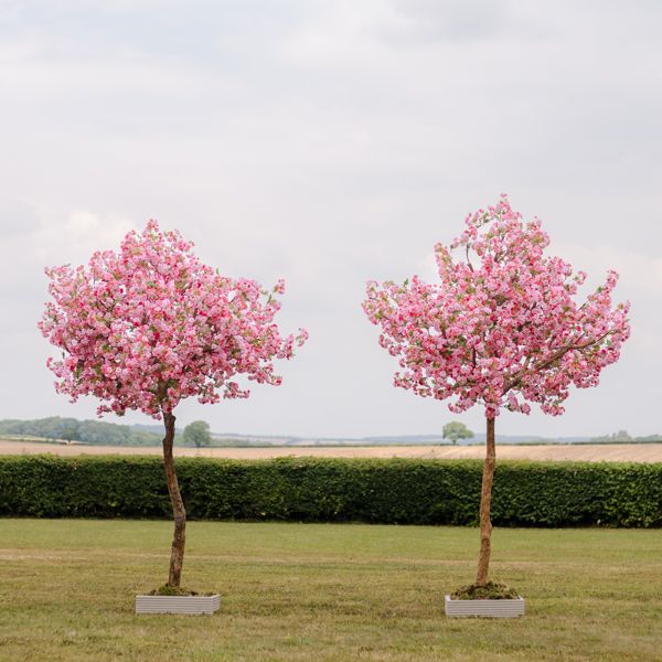 Twilight Trees-Image-6