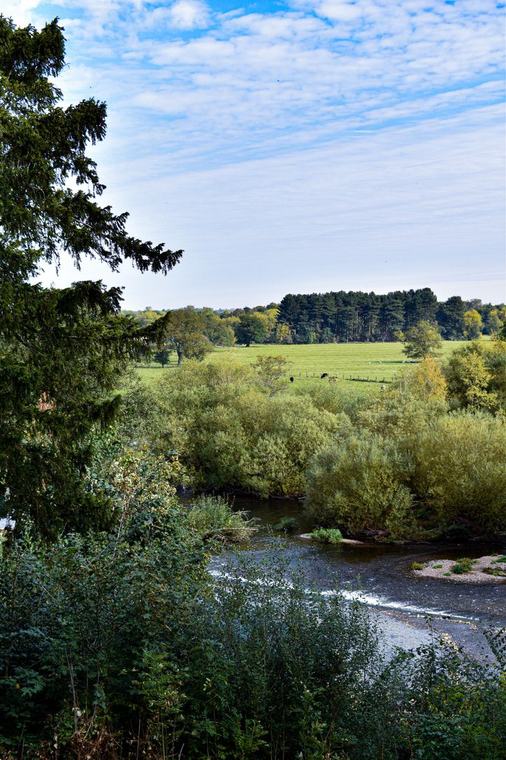 Dovecliff Hall Hotel-Image-9