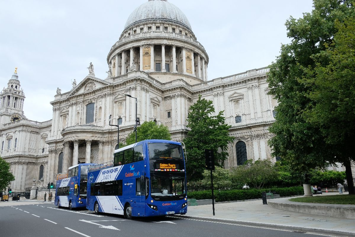 Golden Tours-Image-3