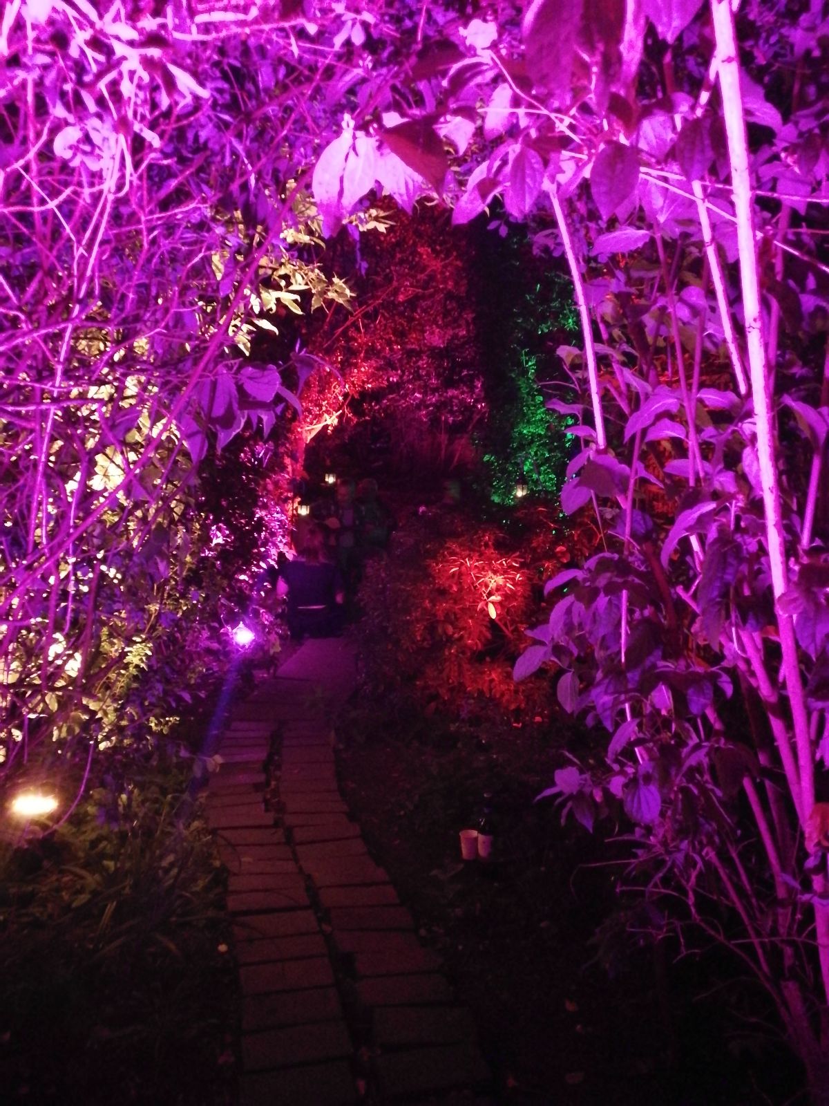 Blackthorn Events-Image-41