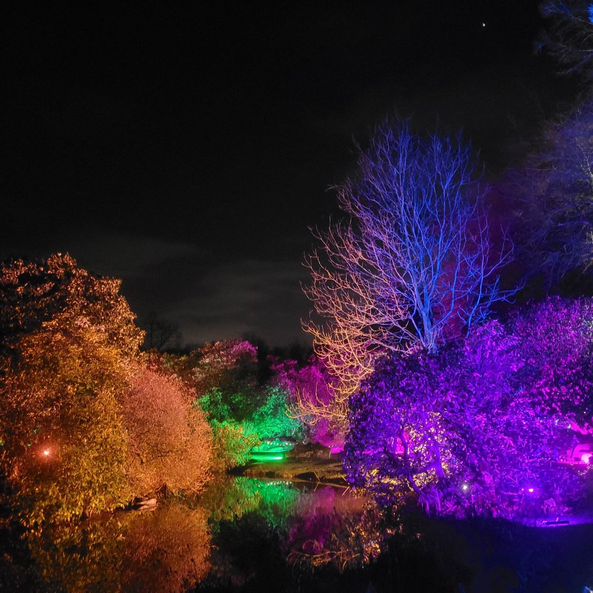 Blackthorn Events-Image-25