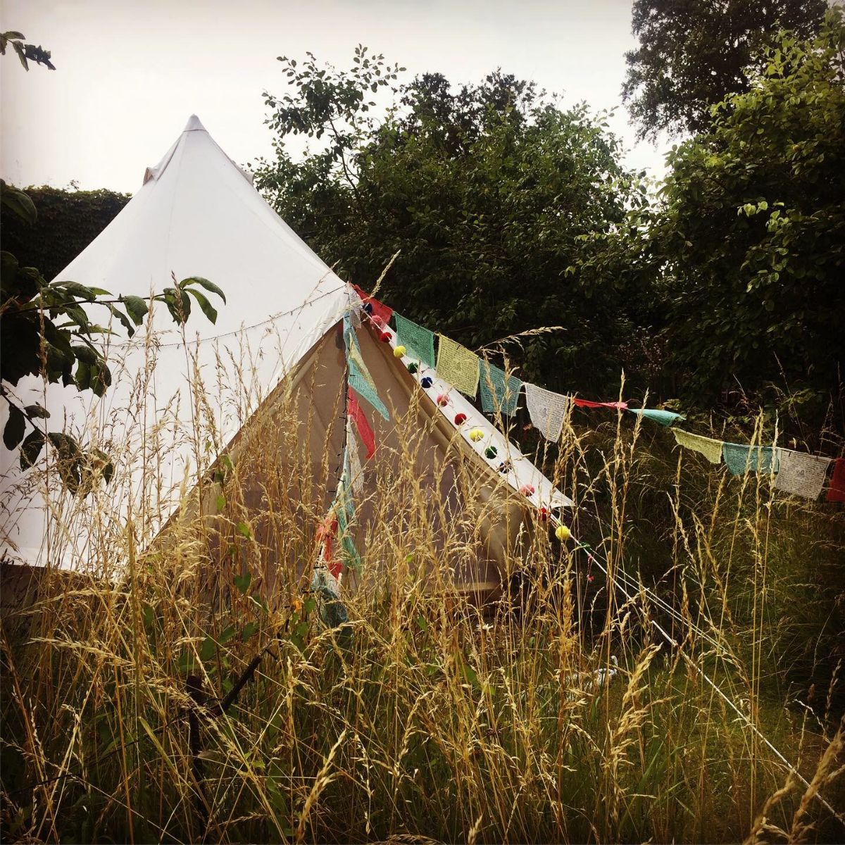 Gallery Item 40 for Shillingstone House Weddings