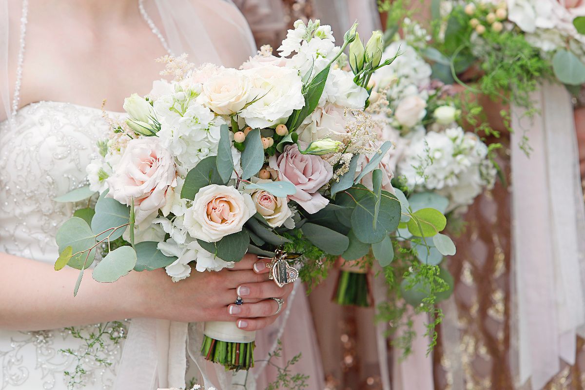 Flowers and Plants Co.-Image-20