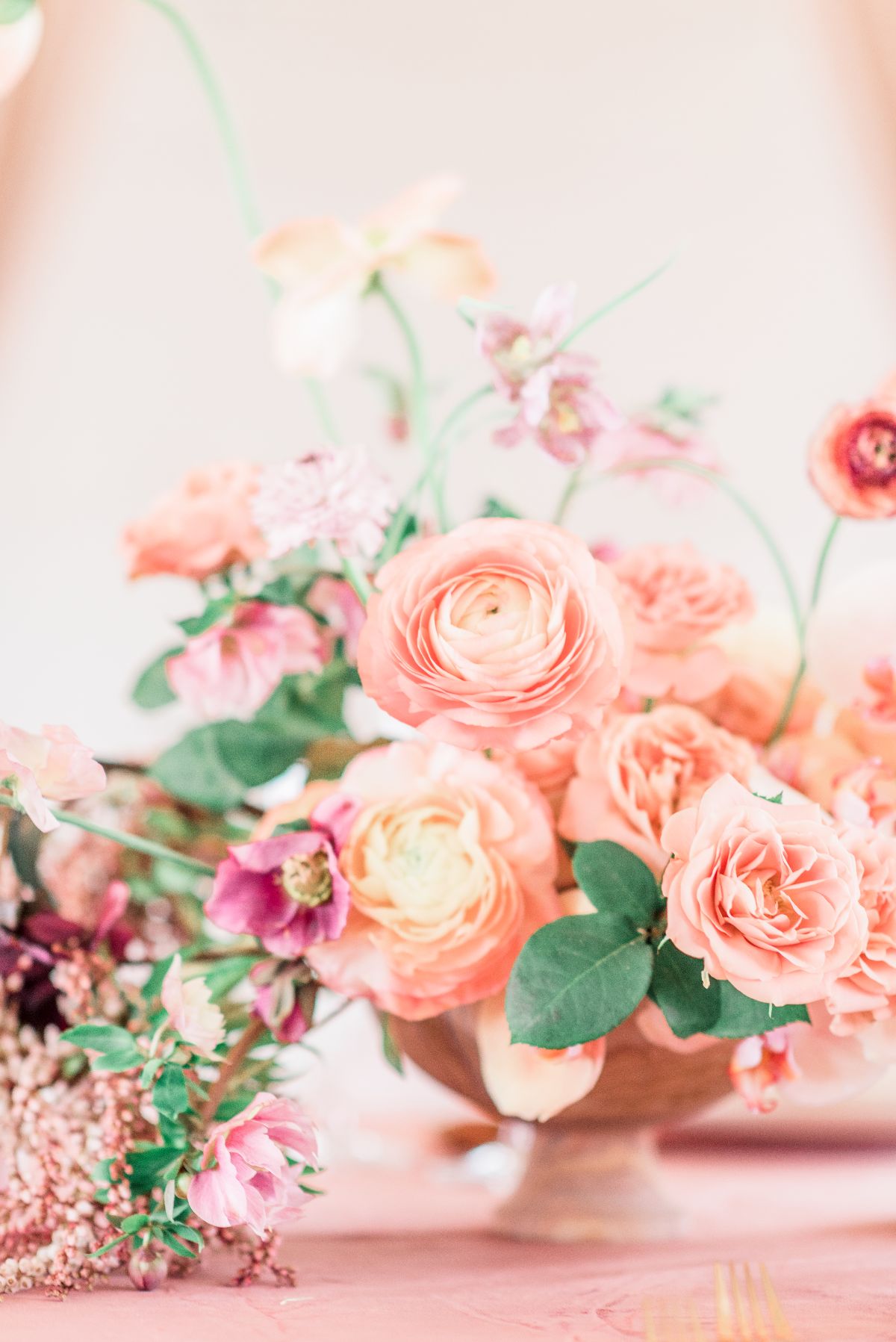 Flowers and Plants Co.-Image-32