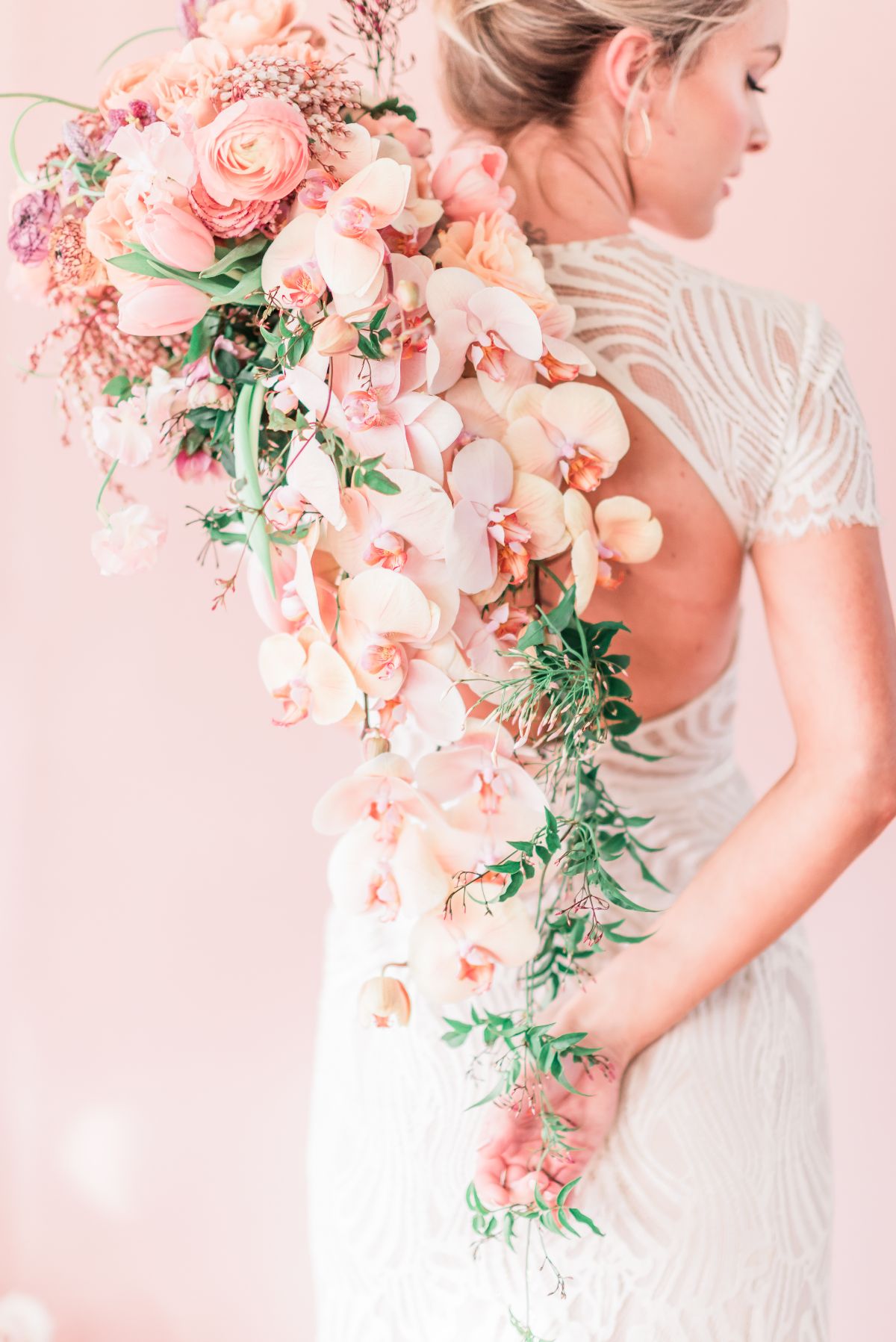 Flowers and Plants Co.-Image-15