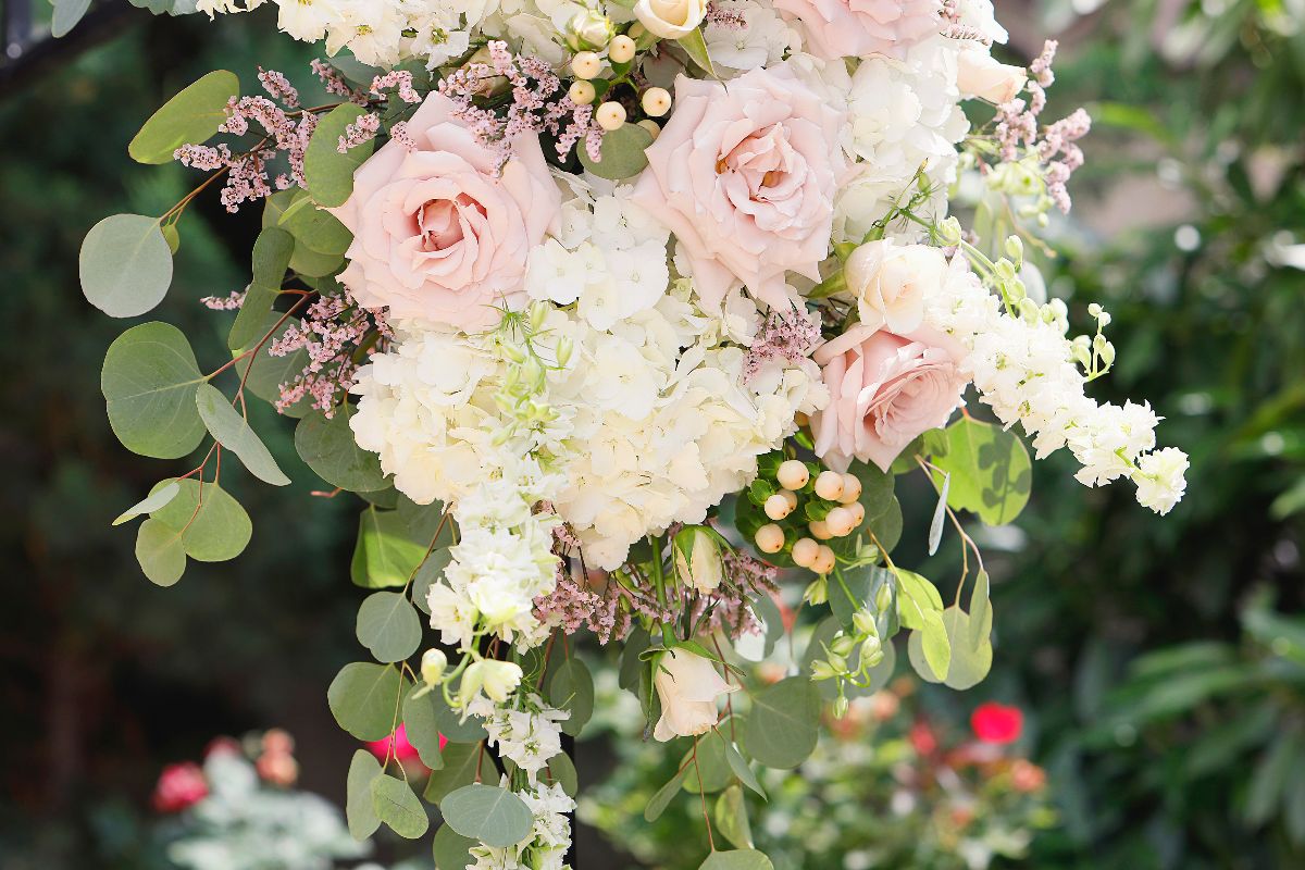 Flowers and Plants Co.-Image-17