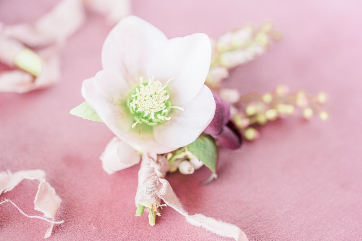 Flowers and Plants Co.-Image-6