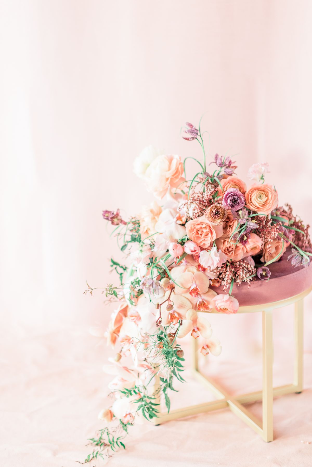 Flowers and Plants Co.-Image-10