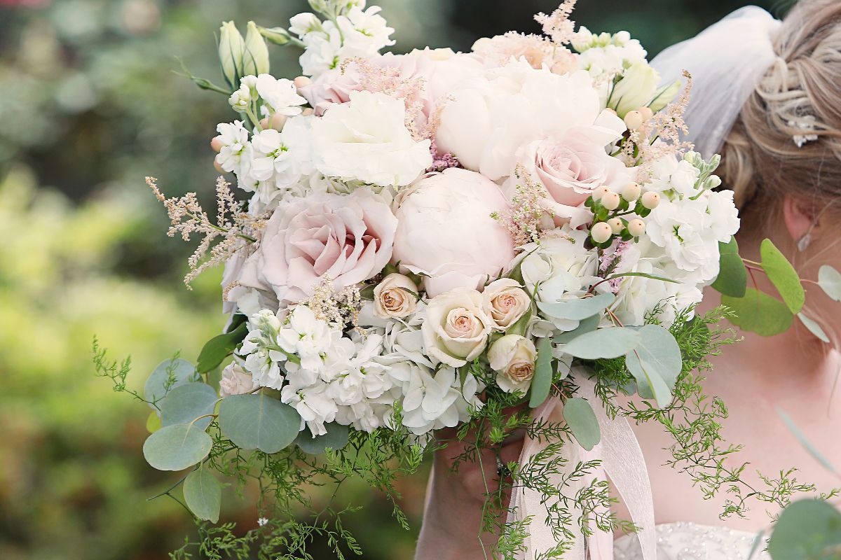 Flowers and Plants Co.-Image-18