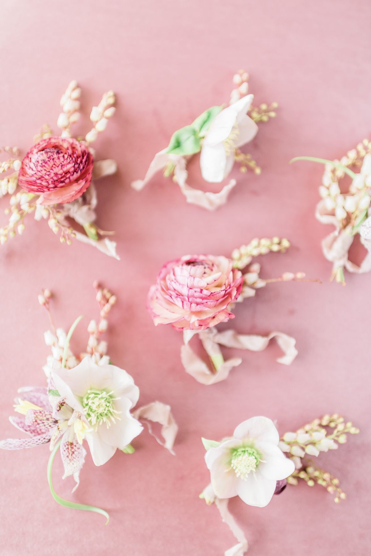 Flowers and Plants Co.-Image-7