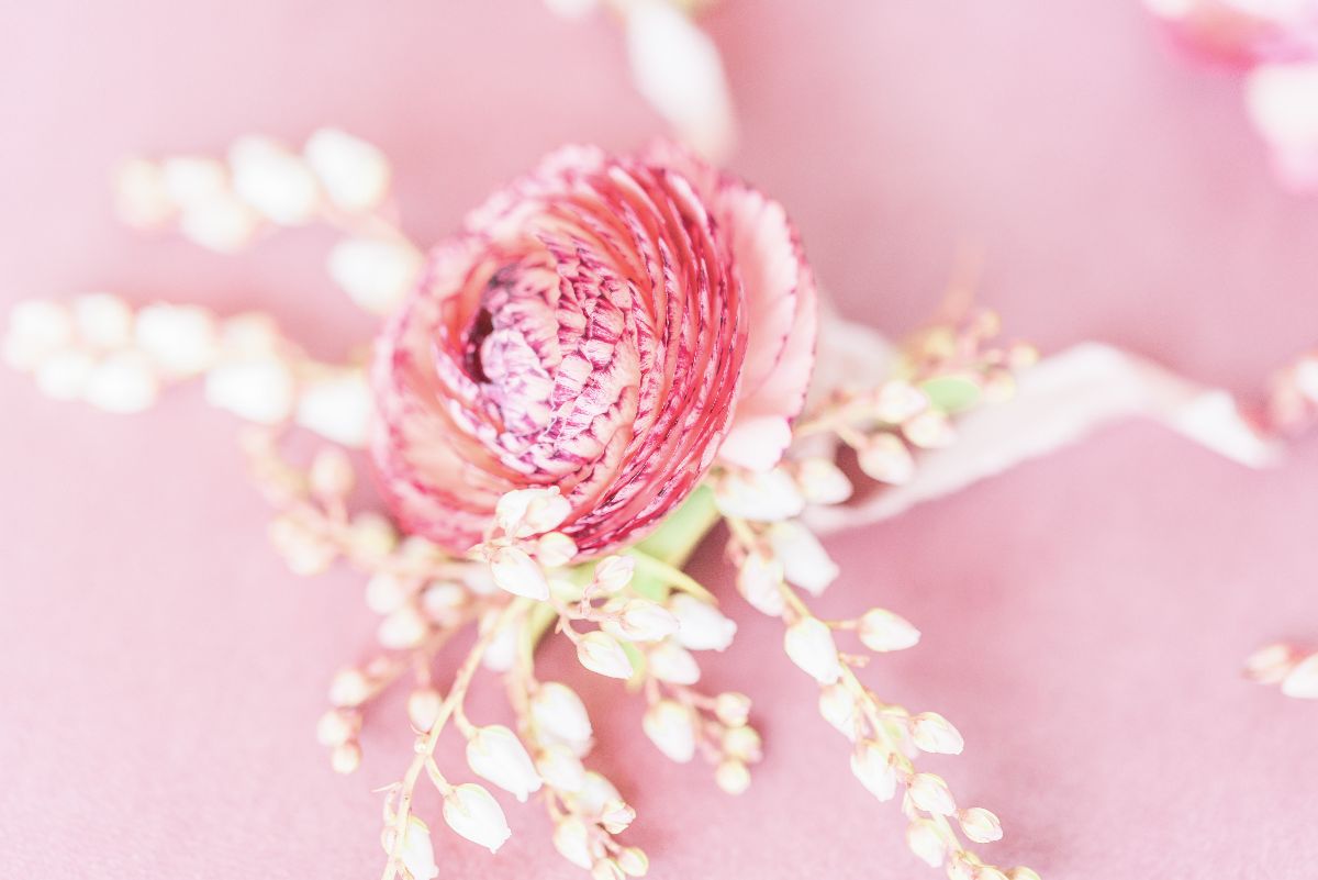 Flowers and Plants Co.-Image-5