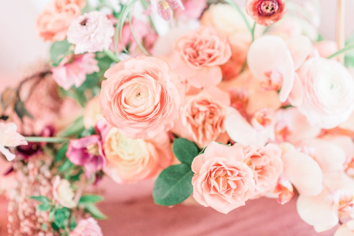 Flowers and Plants Co.-Image-30