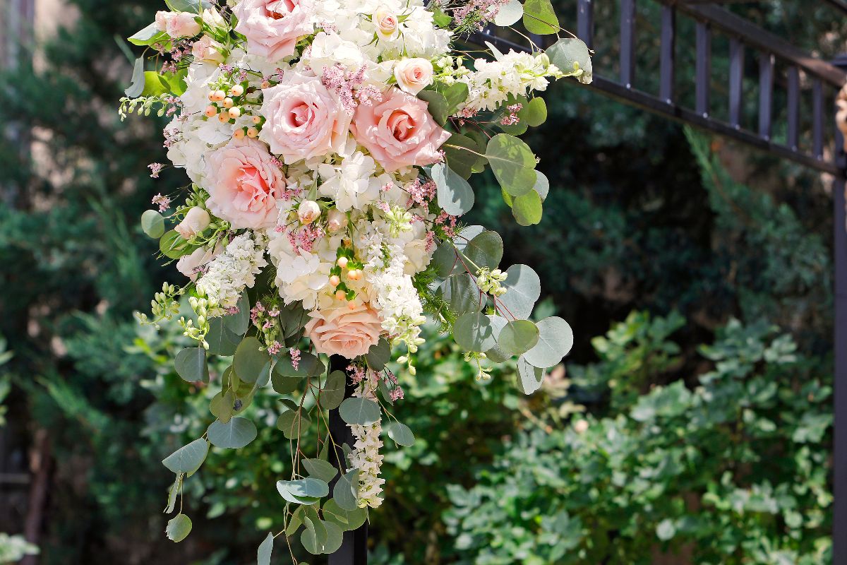 Flowers and Plants Co.-Image-16