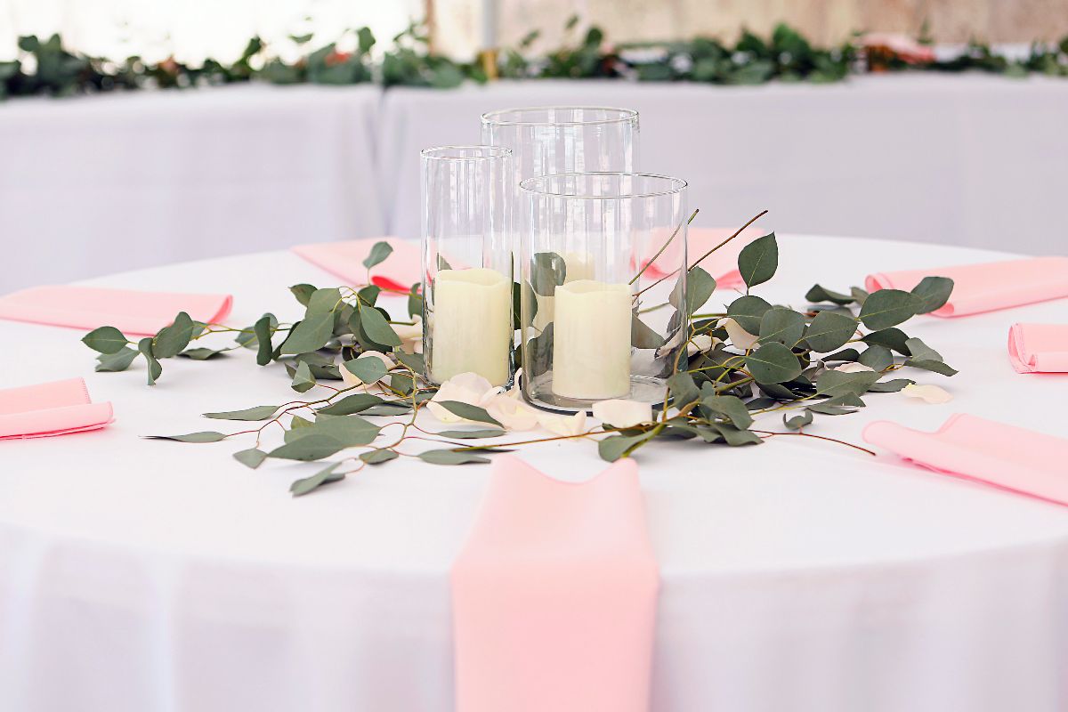 Flowers and Plants Co.-Image-28