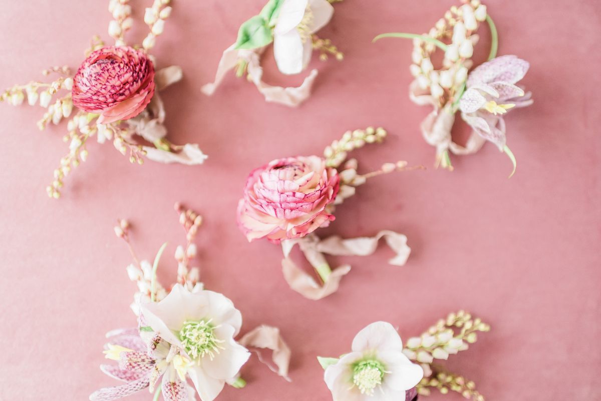 Flowers and Plants Co.-Image-8