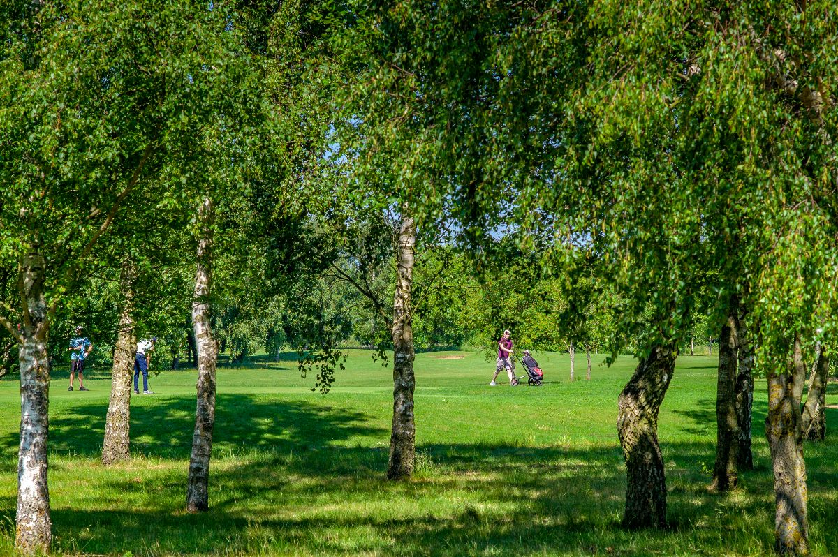 Boston West Country Park and Hotel-Image-1