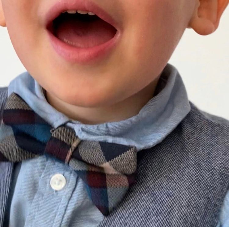 The Tie Garden-Image-30