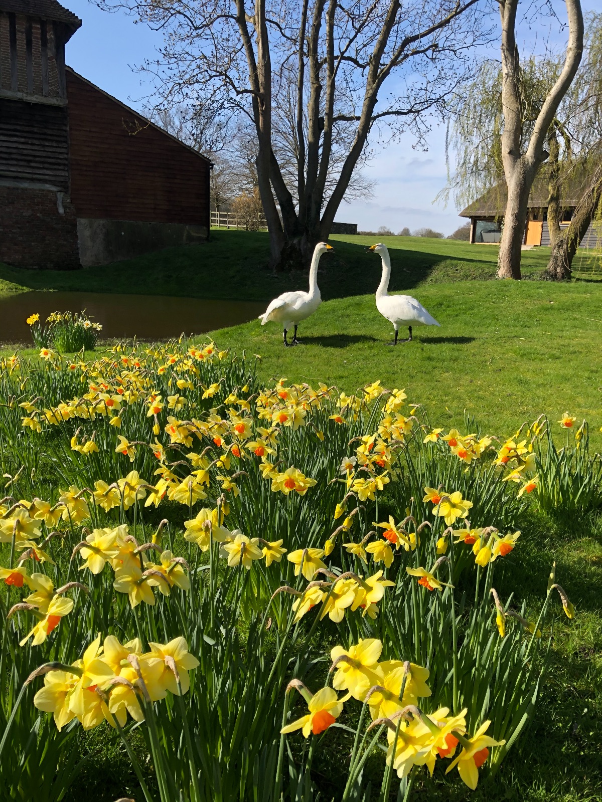 Gallery Item 19 for Colville Hall