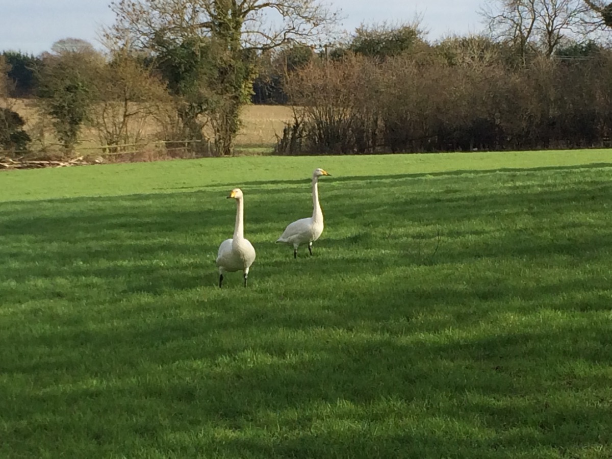 Gallery Item 51 for Colville Hall