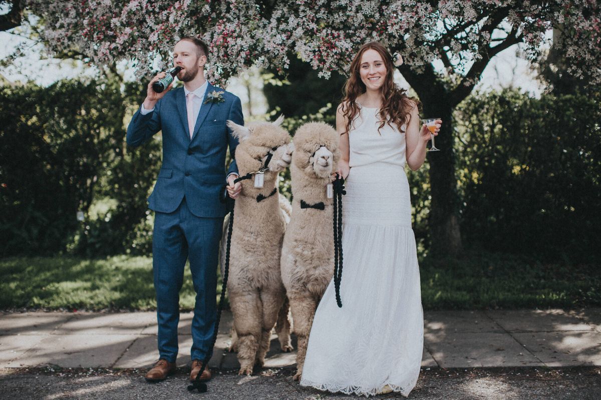 Gallery Item 10 for Tipi Weddings at Charnwood Forest Alpacas