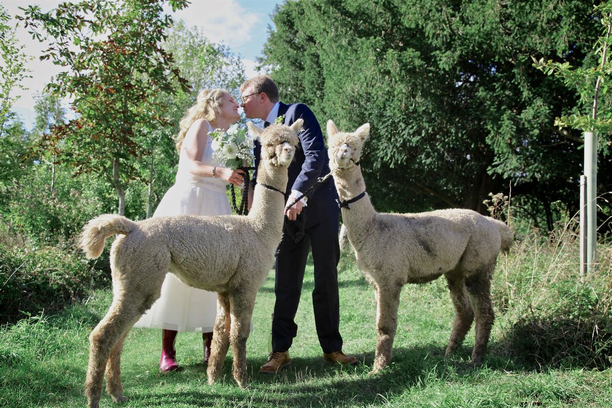Gallery Item 8 for Tipi Weddings at Charnwood Forest Alpacas