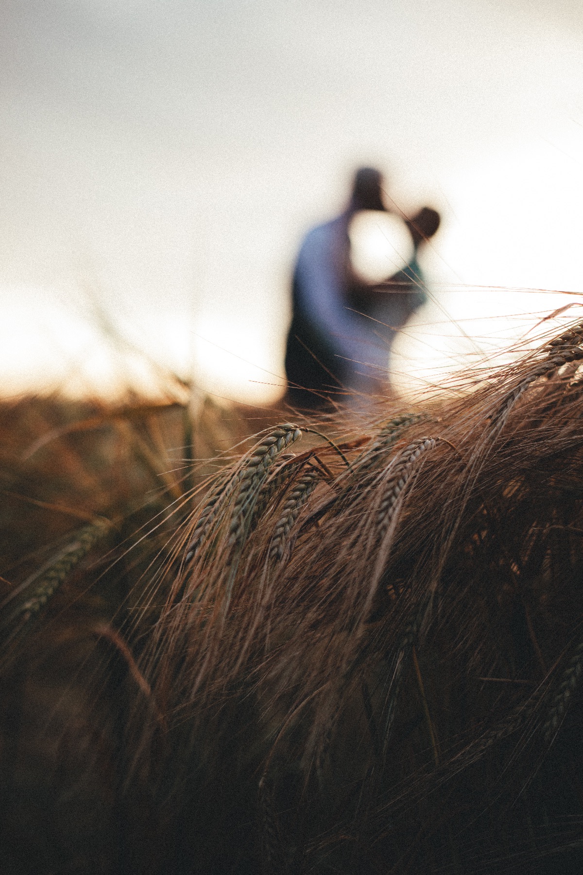 Gallery Item 9 for Holsome Park Enterprise Ltd