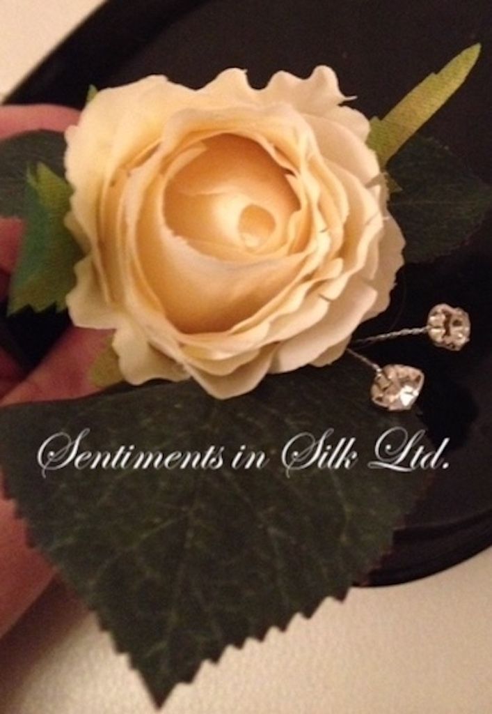 Sentiments in Silk Ltd-Image-55