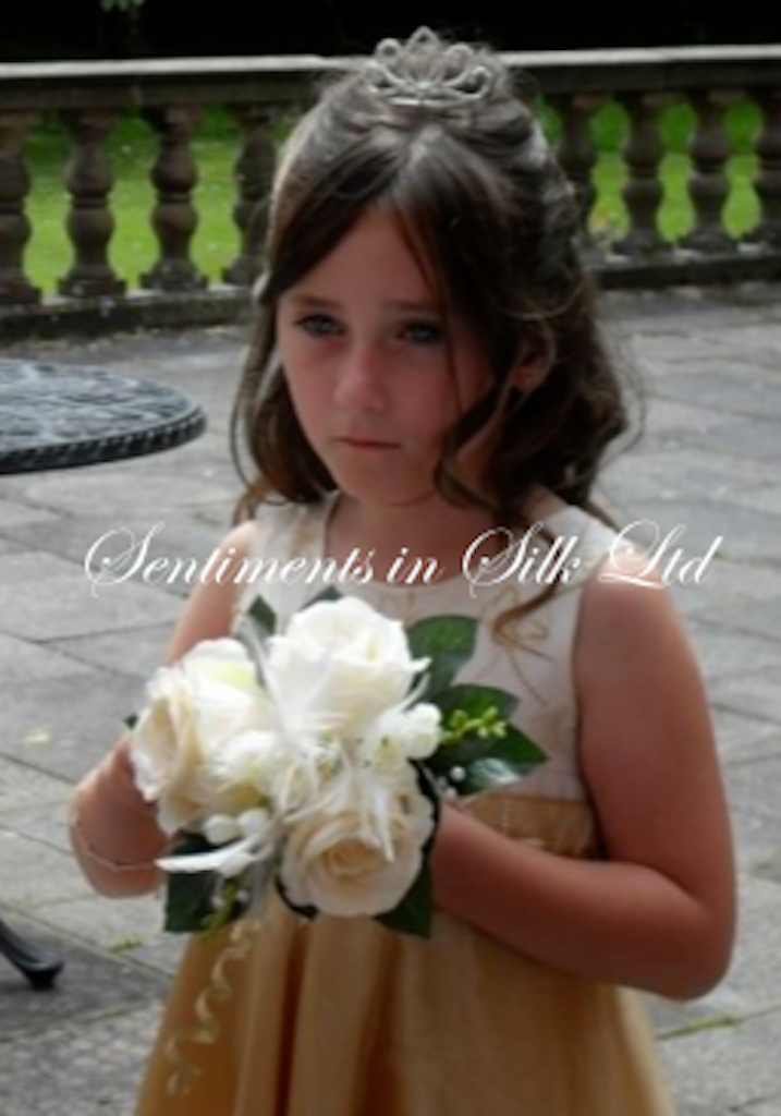 Sentiments in Silk Ltd-Image-46