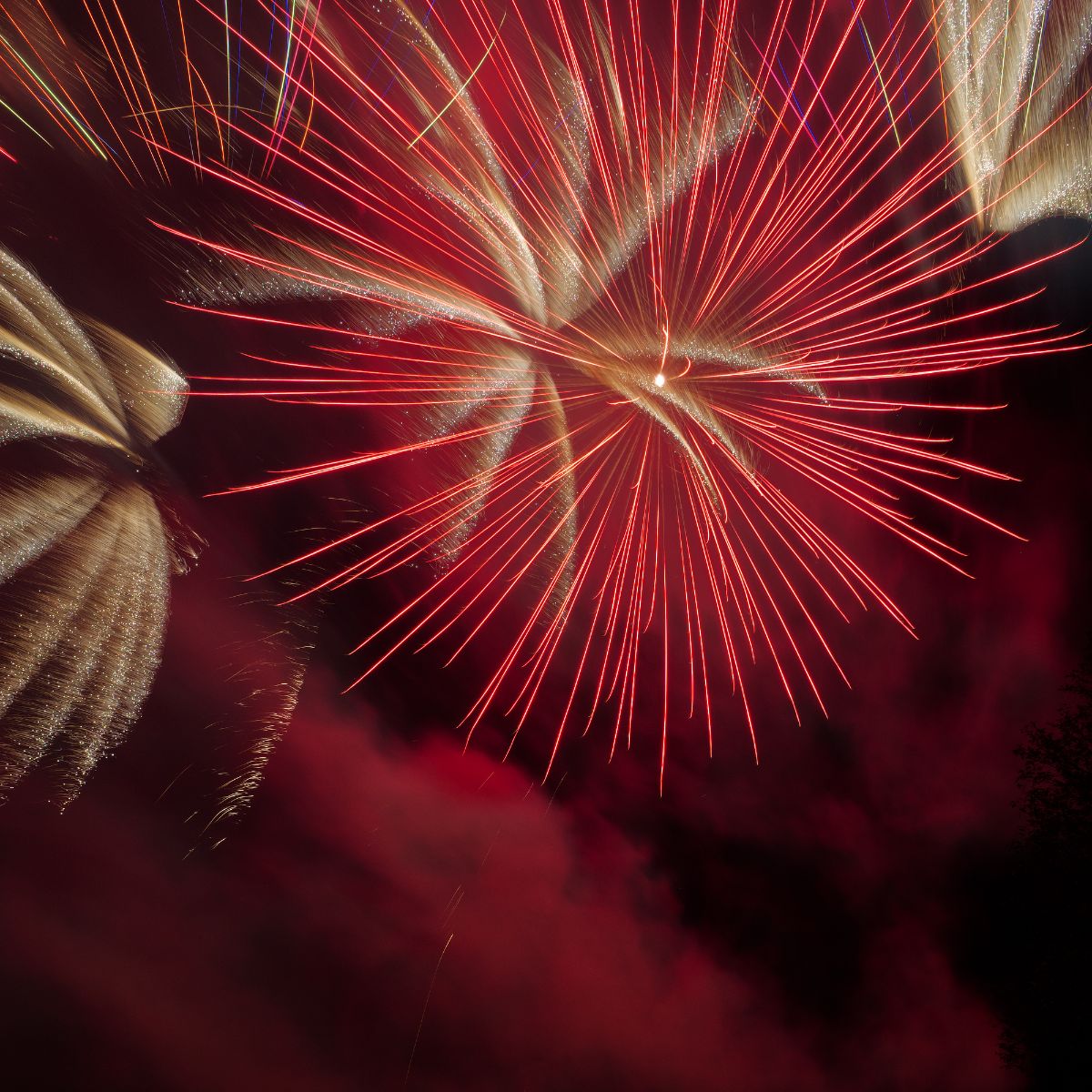 Pyrotastic Fireworks -Image-4