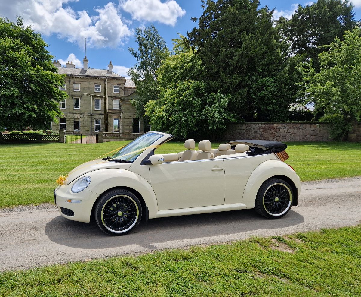 Leicester Wedding Cars-Image-14