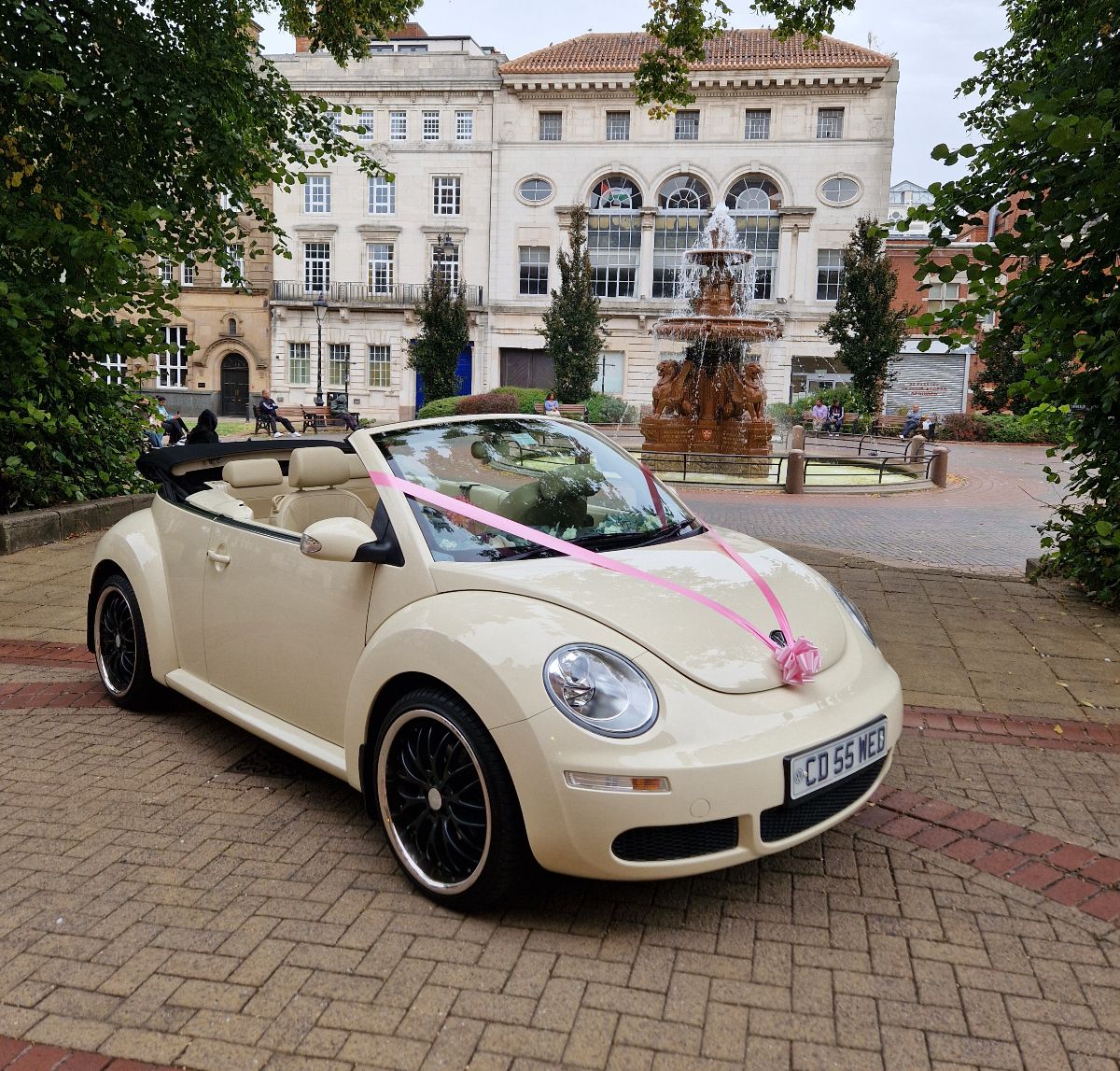 Leicester Wedding Cars-Image-22