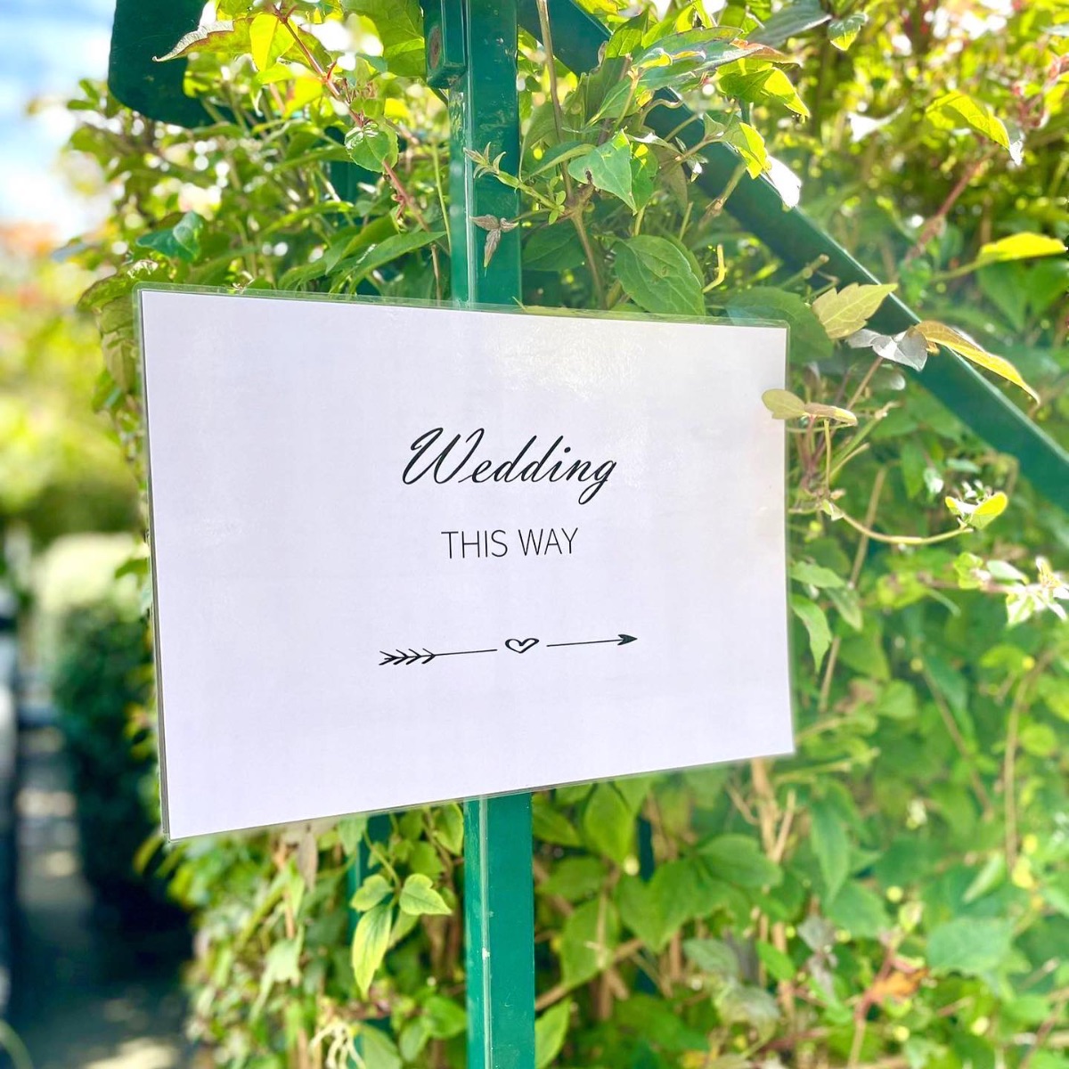 Gallery Item 9 for Wingrove House