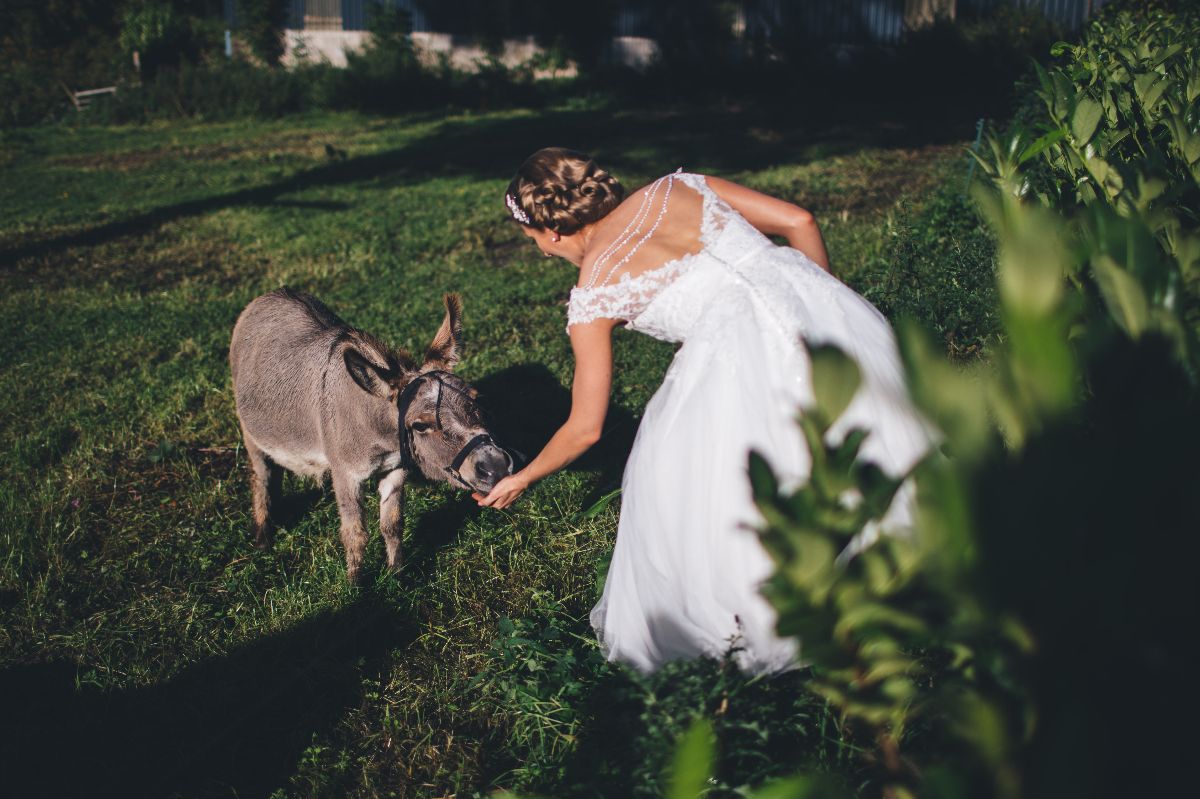 Mike Plunkett Photography-Image-1